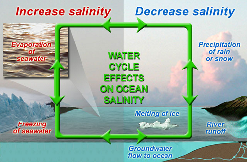 Water Cycle Description